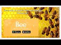Bee.com Application Review &amp; Tutorial!!