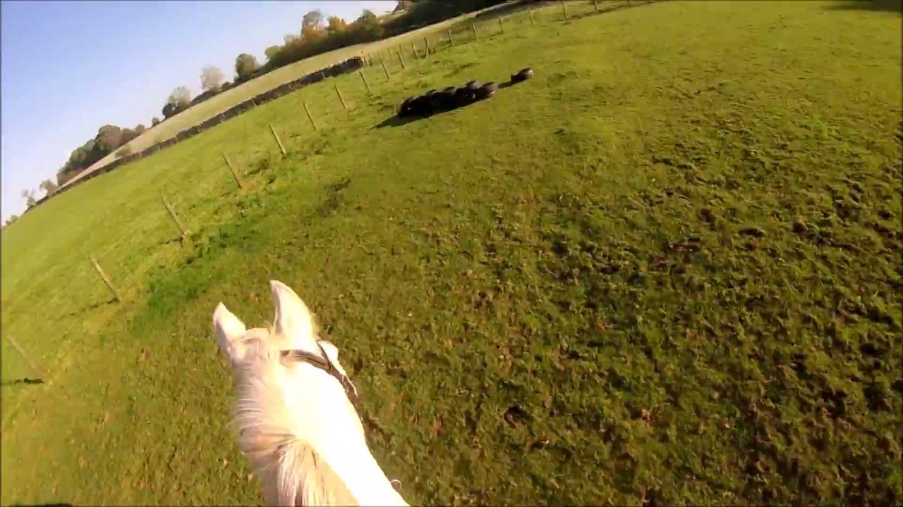 Jumping my friend's horse GoPro YouTube