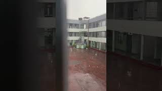Hailstorm in Delhi, #kv #shortsfeed #nfc #kvs #hailstorm #coolbreeze #happy