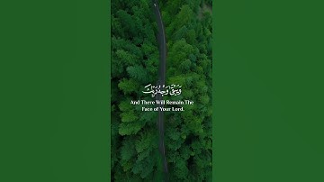 كل من عليها فان ويبقى وجه ربك ذو الجلال والاكرام 💚🍃  #قرآن #القرآن_الكريم #تلاوة_خاشعة #أرح_سمعك