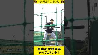 バントの名人現る！！プロ野球選手の技術を解くとご覧あれ！#shorts