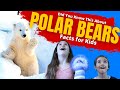 Polar Bears: Marine Mammals of the Arctic
