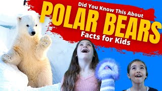 Polar Bears For Kids | Facts About Polar Bears