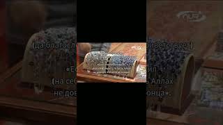 Амулеты — это харам #МирИслама #хадис #Коран #намаз #дуа #shorts #muslim #islam
