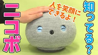 【ピタワード】人を笑顔にできる“ただいるだけ”のロボット