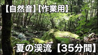 【自然音】夏の川 35分間 ながしっぱ動画