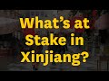 Whats at stake in xinjiang panel discussion