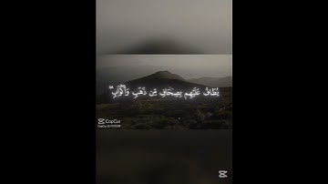 سورة الزخرف- الشيخ:محمد اللحيدان 💕 #قران_كريم #المصحف #غزة_تنتصر