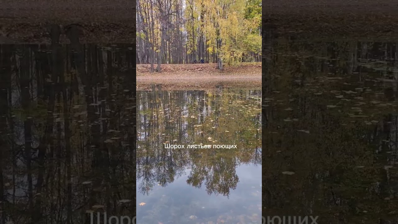 Осенняя мудрость...#стихи #осень