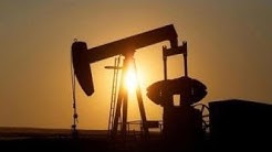 US has a lot of power in global oil market: Global Energy Institute CEO