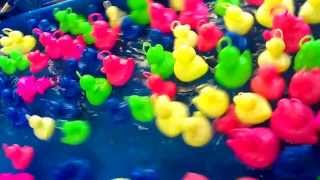 Entenangeln Extreme screenshot 1