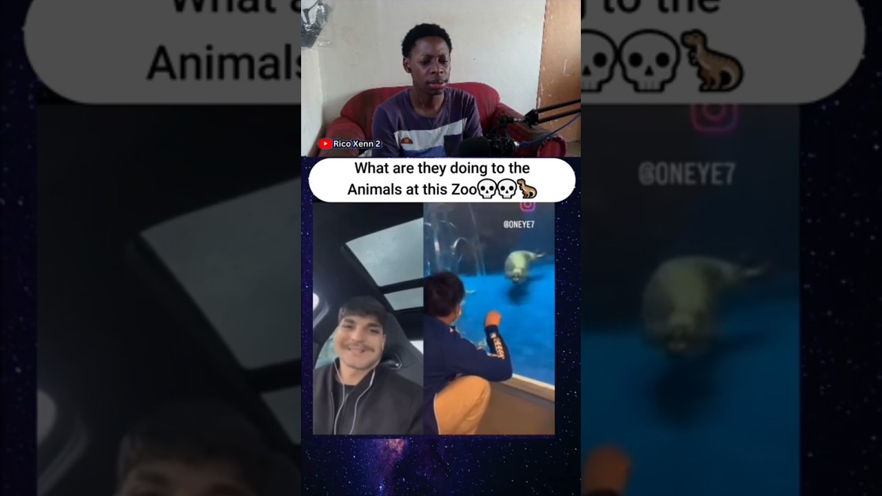 Что они делают с ЖИВОТНЫМИ в этом зоопарке? 💀💀🦖