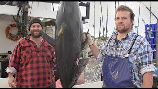 History of the Bermagui Fishing Industry