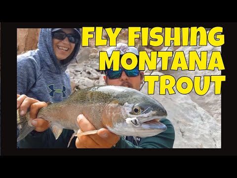 Montana Fly Fishing for Trout - Carp - Bighorn Reservoir 