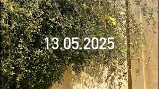 13.05.2025
