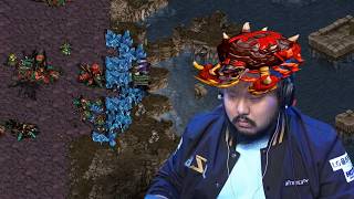 Tulbos ZERG!