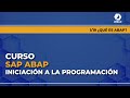 01 Curso SAP ABAP Iniciación a la programación - ¿Qué es ABAP?