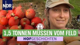 Kürbisernte unter Zeitdruck: Stressiger Herbst auf dem Thudtshof | Hofgeschichten (399) | NDR