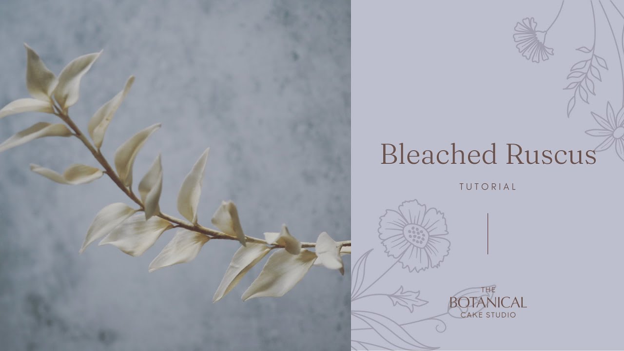 Bleached Ruscus Tutorial (Gumpaste / Flower Paste)