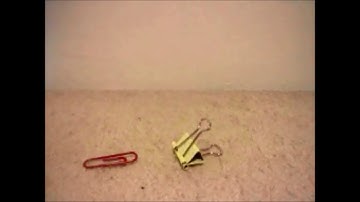 Inchworm Animations #2