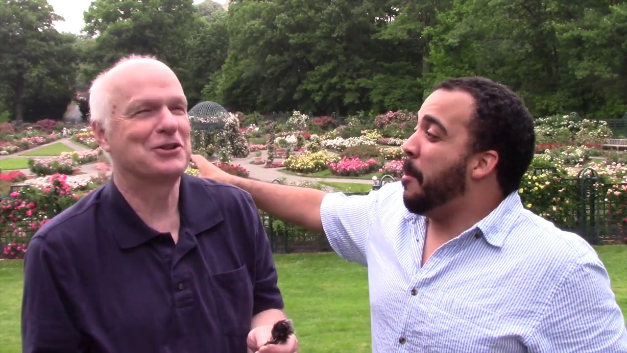 ¿Qué nos enseña la alimentación de los 5,000? (Marcos 6:30-44)