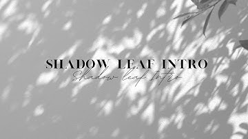 Aesthetic Shadow Leaf Intro and Outro Templates | Free to Use | Minimalist