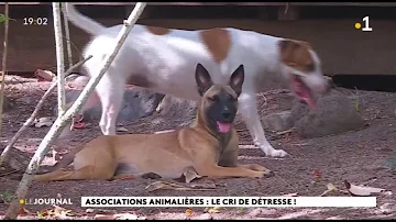 Qui dirige L214 ?