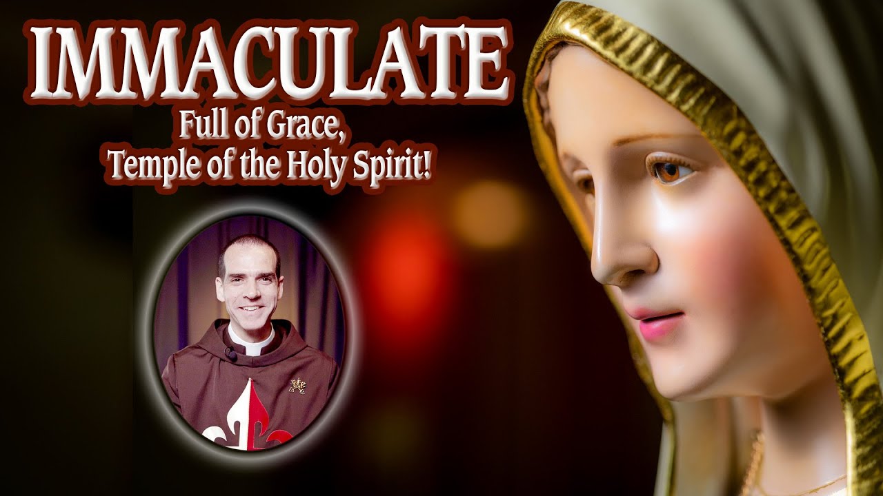 Immaculate, full of grace, temple of the Holy Spirit!| DailyGospelMeditation|Fr. David|Dec 8th, 2022