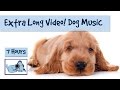 EXTRA LONG VIDEO!!! Relaxation Music for Dogs and Puppies - 7 Hour Playlist!!!