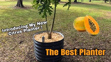 Vego Zelfbewaterende Rolplantenbak Tutorial & Review #vego