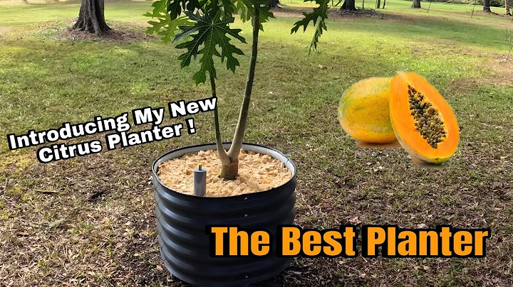 Vego Self Watering Rolling Planter Tutorial & Review #vego