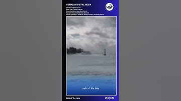 Watch a chilling video that shows how the delta airline plane crashed.