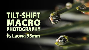 Tilt-Shift Macro Photography ft. Laowa T/S 55mm f/2.8 1X