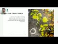 K.Amuthan Assistant Professor | AI using Agriculture| snsinstitutions