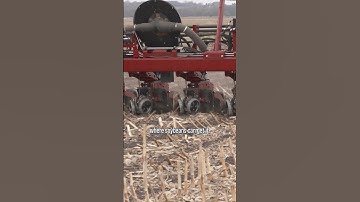 A Limiting Factor to High Yield Soybeans