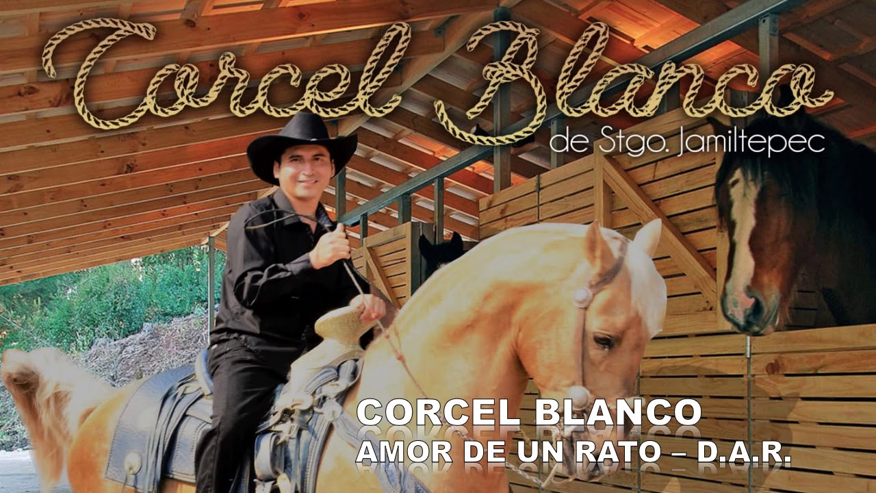 Corcel Blanco CORCEL BLANCO AMOR DE UN RATO - YouTube