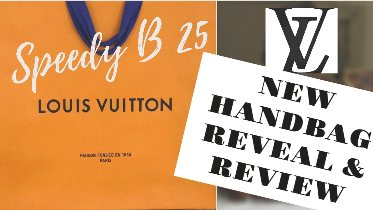 NEW LOUIS VUITTON HANDBAG REVEAL & REVIEW | Speedy 25 Damier Ebene - YouTube