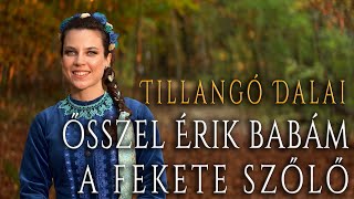 Török Tilla - 012 - Ősszel Érik Babám A Fekete Szőlő - Tillangó Dalai