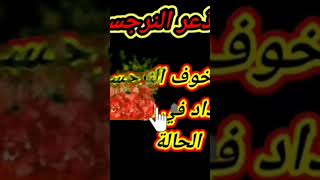 ازاى تخوف النرجسى وترعبه ؟ كيف تصبح كابوسا للنرجسي ؟ هبة المغرَبي