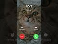 Smartphone Ringtone Ios Music Iphone Foryou Youtubeshorts Apple Cat Applemusicringtones Smartphone Ringtone Ios Music Iphone Foryou Youtubeshorts Apple Cat Applemusicringtones