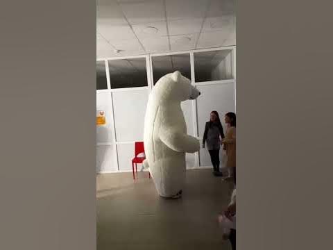 Ведмедик Бо бо - YouTube