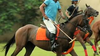 Polo Tournament