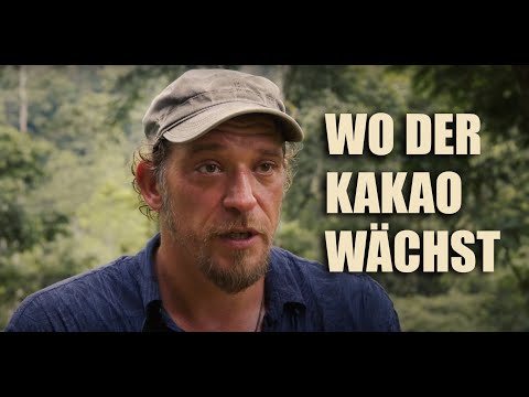 Video: Lebender Kakao - Was Ist Das?