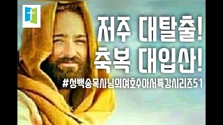 [비둘기 꿀성경공부(현미경식/영감적) /비상· 둘.셋이…