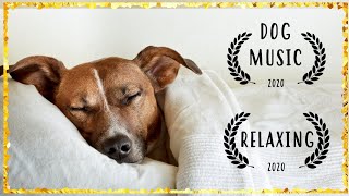 Music for Dogs to relax ~ Dog Music to Sleep ~ Music to Calm Dogs