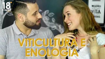 O que é técnico em Viticultura e Enologia?