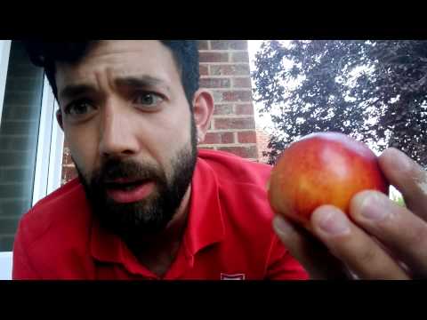 How to eat a nectarine