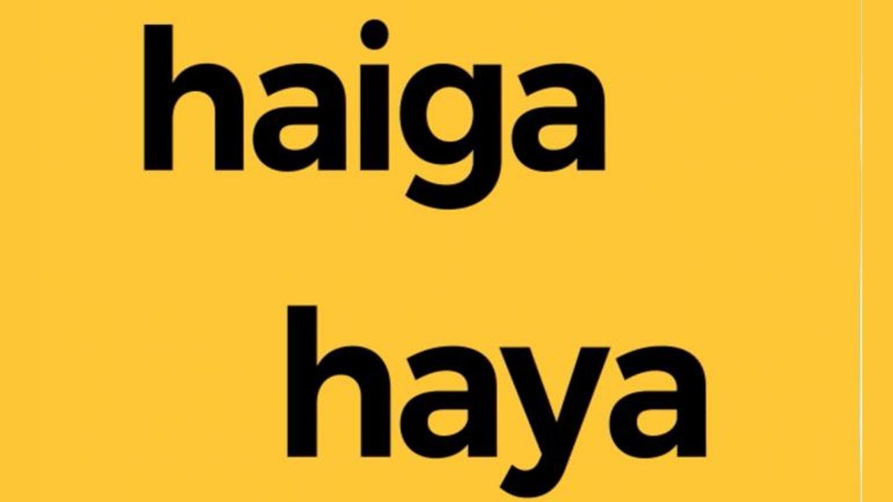 cu-l-es-la-diferencia-entre-haya-y-haiga-youtube