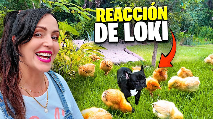 REACCIÓN de LOKI a los POLLITOS y la Finquita Bonita 😱 😍 Sandra Cires Vlog