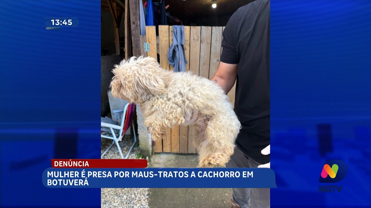 Mulher é presa por maus-tratos a cachorro após denúncia em Botuverá